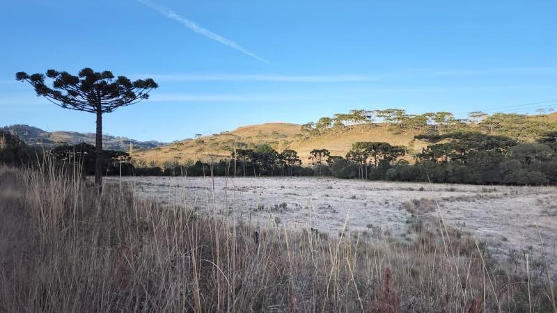 Madrugada na Serra Catarinense teve temperatura de -5,8°C; em Criciúma termômetros marcaram 2°C