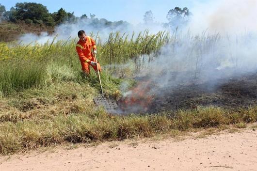 Brincadeira pode ter originado grande incêndio em Guarita, em Sombrio