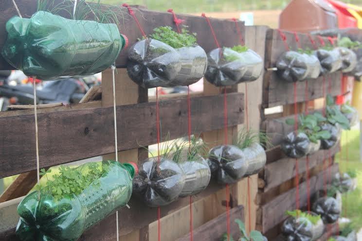 Hortas verticais são produzidas com garrafas pet em escola