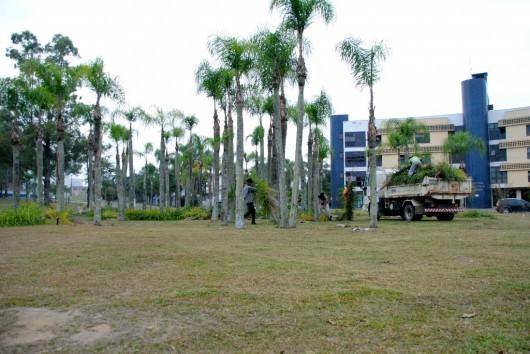 Parque Centenário, em Criciúma, passa por limpeza e revitalização