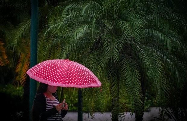 Mês de outubro teve registro de chuvas acima da média em parte do estado