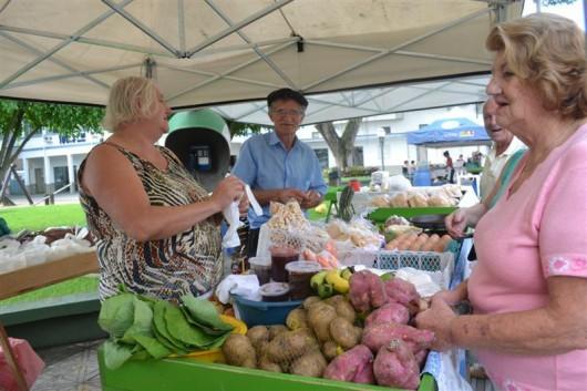 Produtos saudáveis e bom atendimento na Feirarte de Orleans