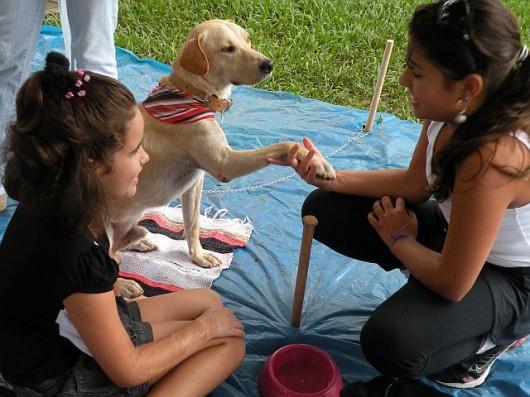 Mascote de ONG abre feira de adoção na pracinha