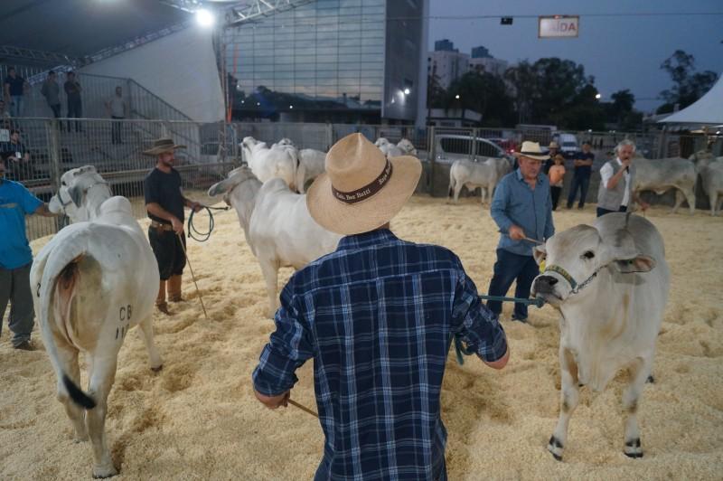 AgroPonte divulga programação oficial da feira, que acontece em agosto em Criciúma