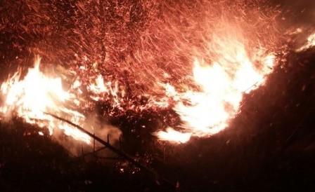 VÍDEO: Incêndio de grandes proporções destrói vegetação e ameaça residências