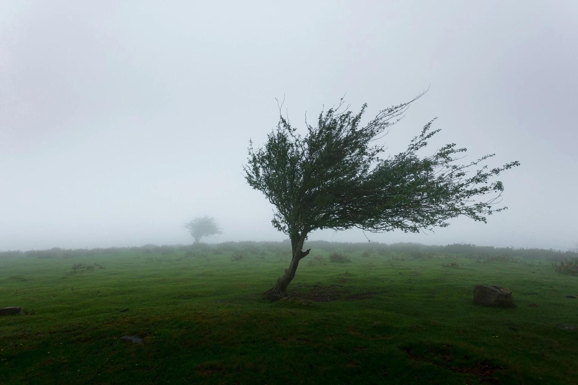 Ventos fortes e queda nas temperaturas marcam a semana no Sul de Santa Catarina