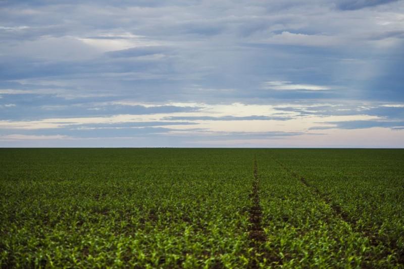 Marco regulatório para agrotóxicos é publicado no Diário Oficial da União