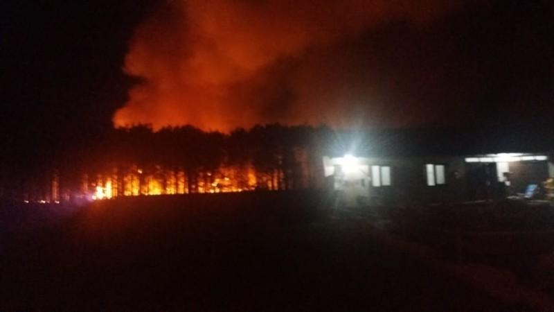 Incêndio destrói mais de dois hectares de mata nativa em Sombrio