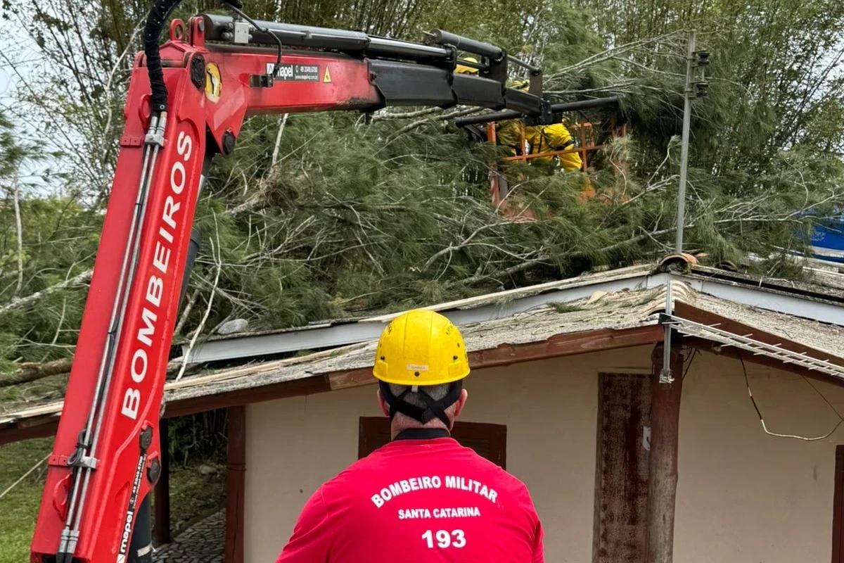 Vídeo: queda de árvore sobre casa deixa estragos em telhado e mobiliza bombeiros militares