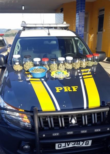 PRF apreende 10 pés de maconha na BR-101, em Tubarão 