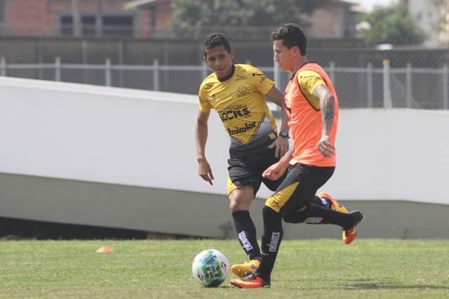 Tigre inicia preparação para enfrentar o Goiás