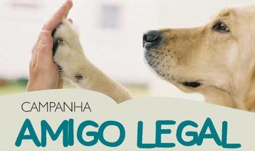 Campanha Amigo Legal visa garantir lar e dignidade aos animais