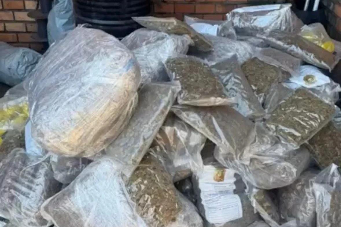 Drogas apreendidas em operações de 2025 são incineradas em Araranguá