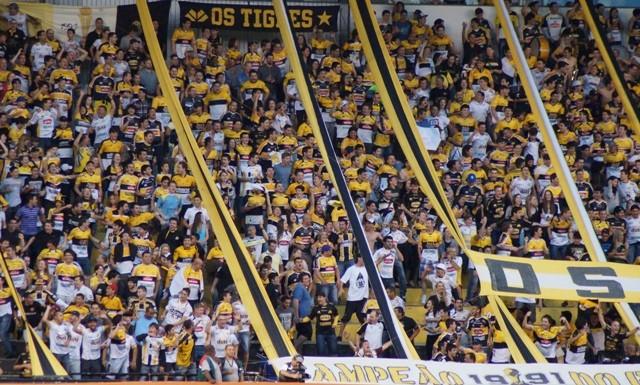  Casa cheia: Ingressos esgotados para Criciúma e São Paulo