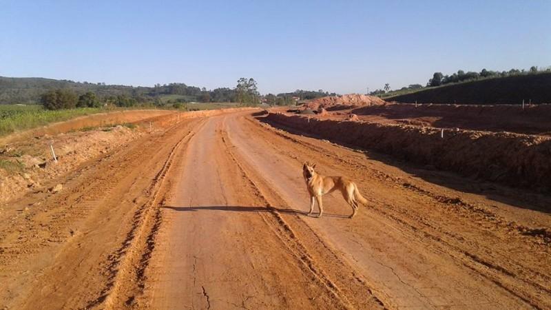 Via Rápida em um ano. É possível