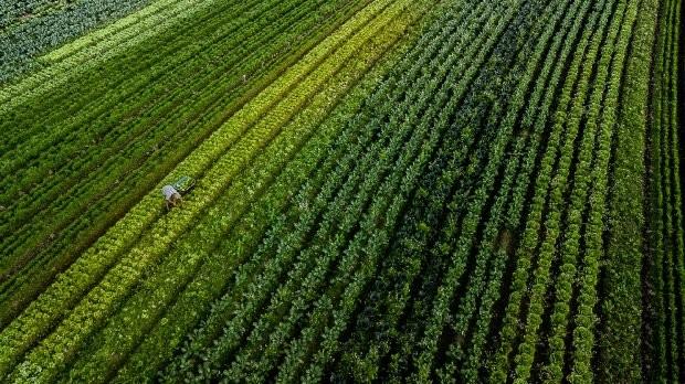 Governo do Estado investe R$ 77,4 milhões em programas de fomento agropecuário
