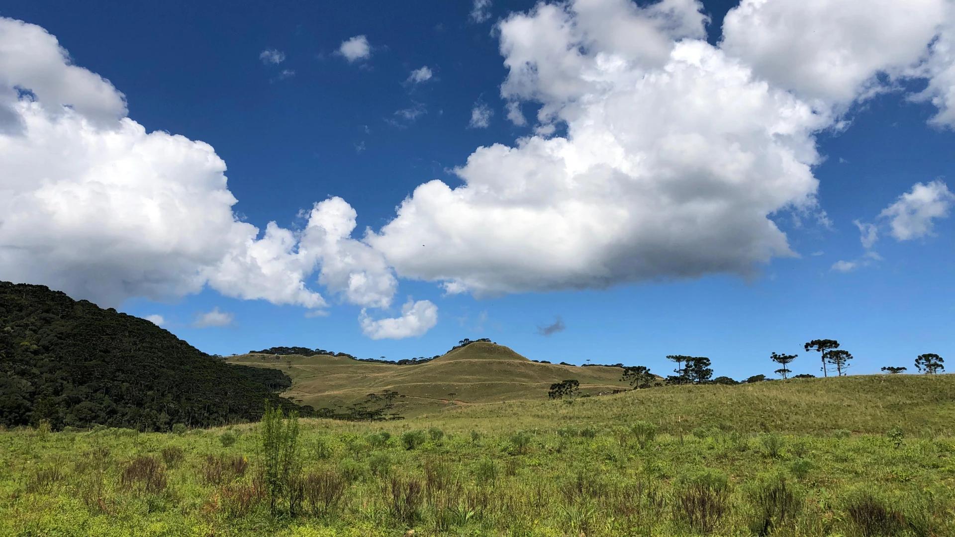 Quinta-feira terá sol entre nuvens e temperaturas amenas em Criciúma e região