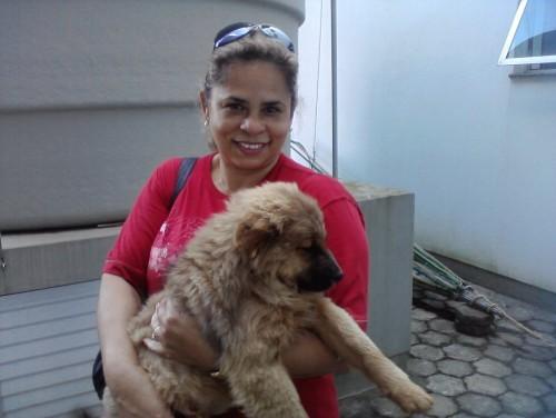 Dona do Chow Chow localizada