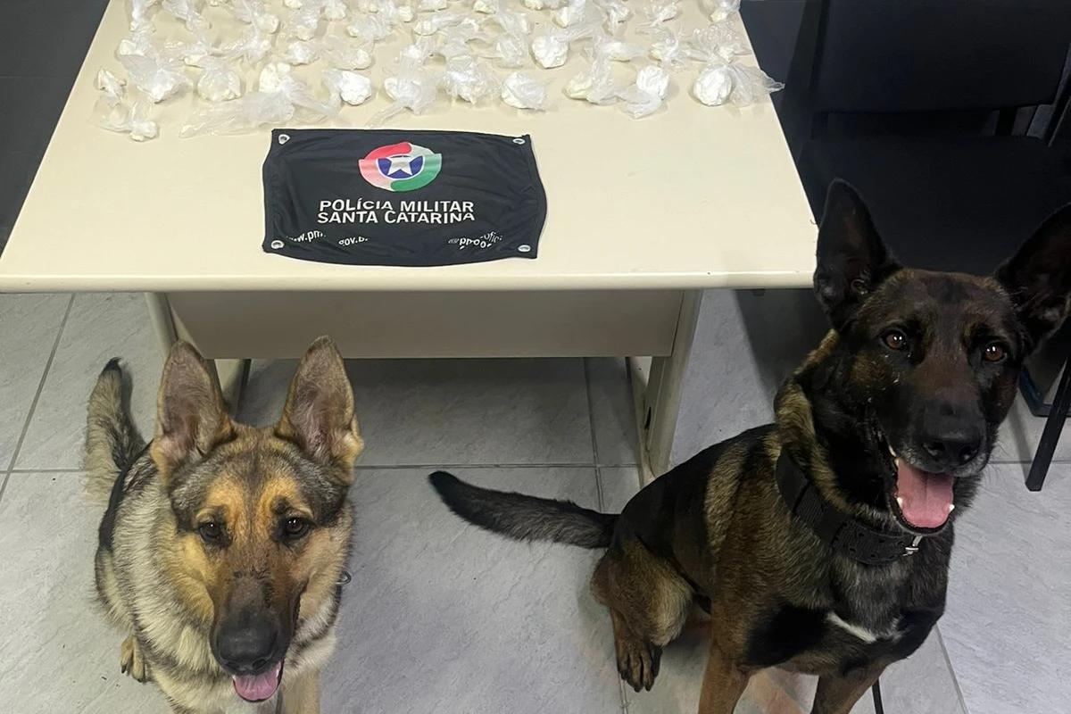 Polícia Militar apreende mais de meio quilo de cocaína em residência abandonada em Içara