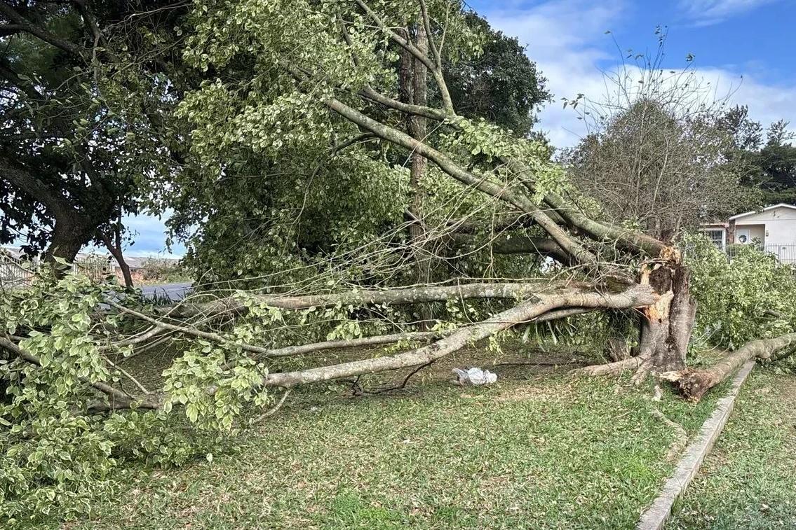 Força do vento provoca estragos no Sul de SC; veja fotos