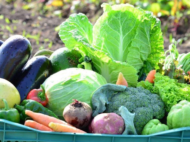 Epagri promove Semana da Alimentação de 19 a 22 de outubro