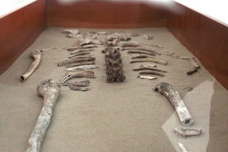 Museu no Rincão reúne peças com mais de dois mil anos