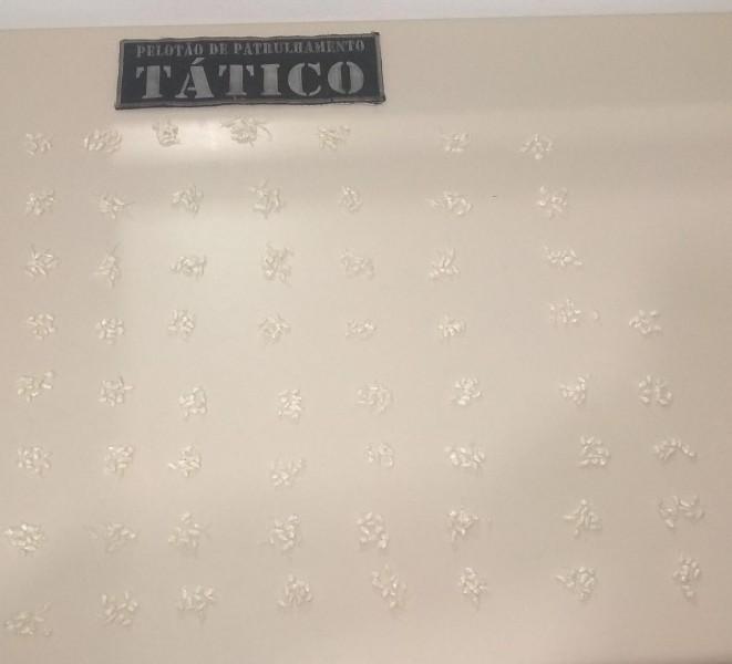 Polícia apreende 600 pedras de crack em Tubarão