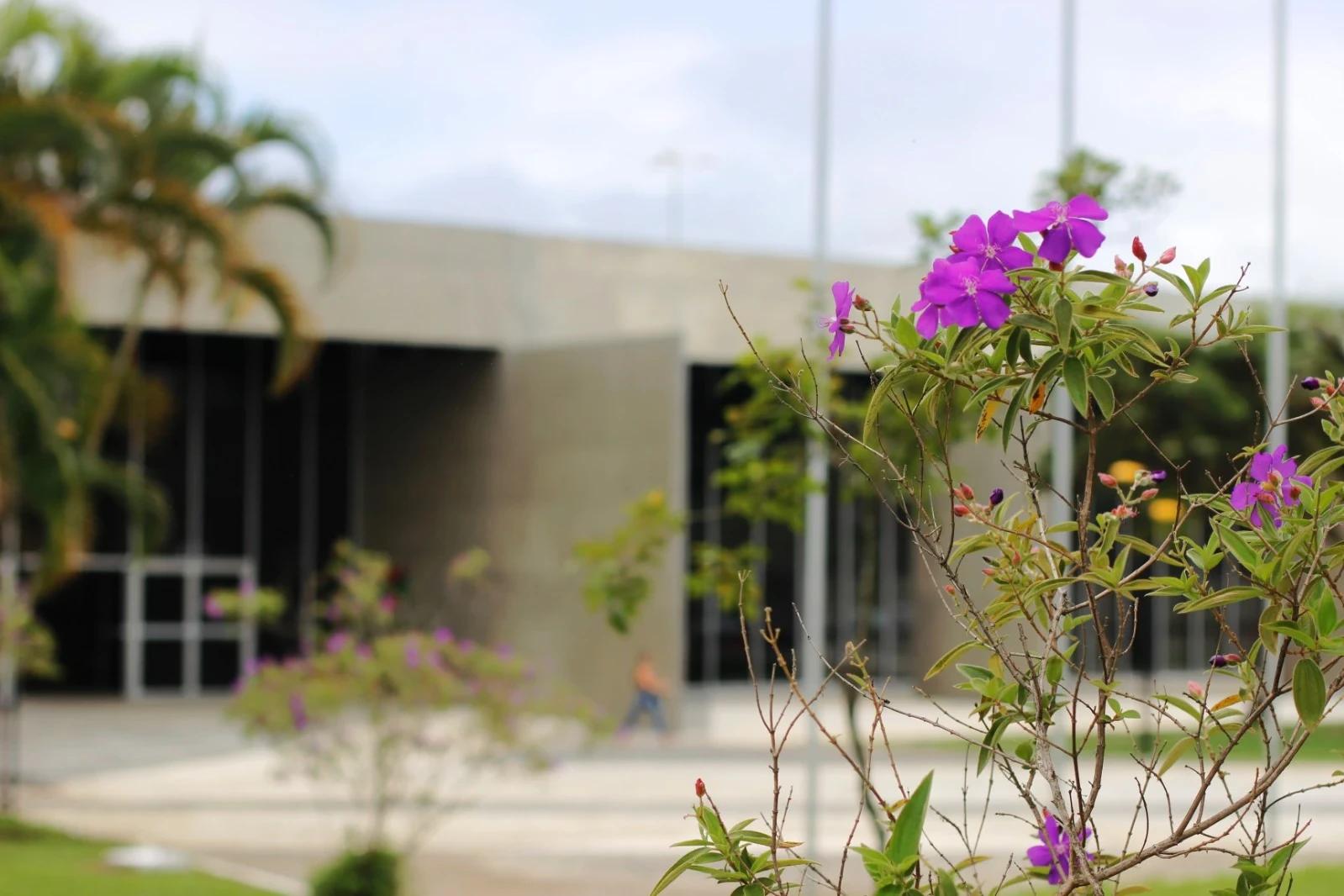 Governo de Criciúma organiza programação especial para a Semana do Meio Ambiente