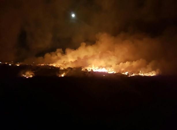 Três horas de combate a fogo em vegetação