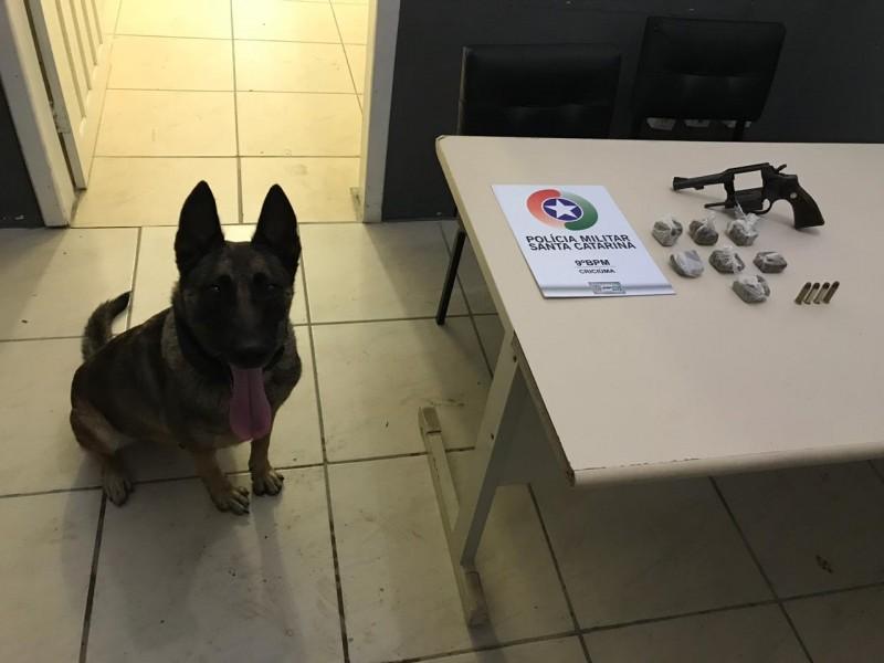  Com ajuda do cão farejador, PM apreende maconha, revólver e munições 