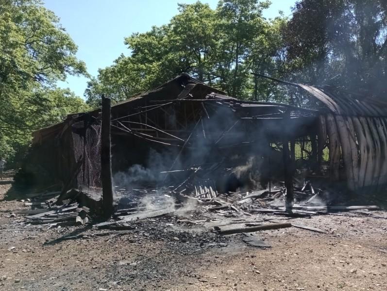 Aviário pega fogo e mobiliza bombeiros em Nova Veneza