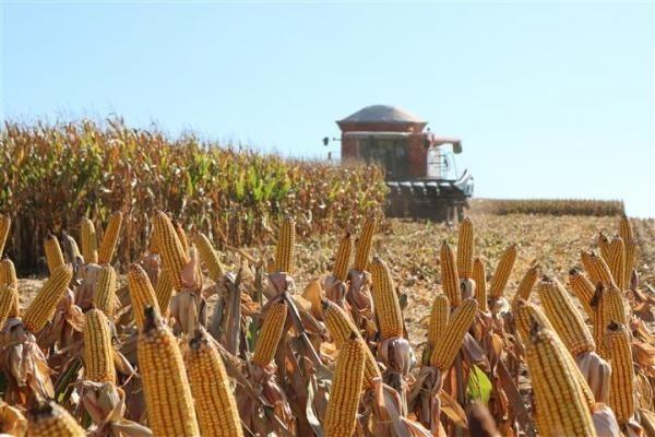 Produtores rurais têm até dia 31 de março para entregar notas fiscais de 2020 