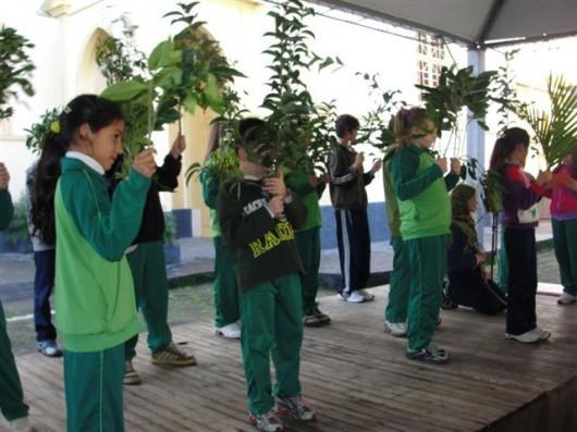 Cocal do Sul vai envolver mães e idosos na Semana do Meio Ambiente 