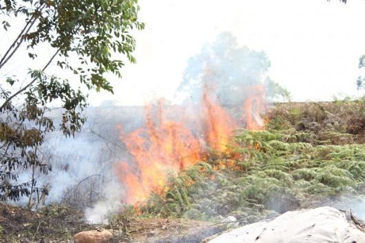 Chamas se alastram por vegetação nas imediações do pontilhão do bairro Sangão
