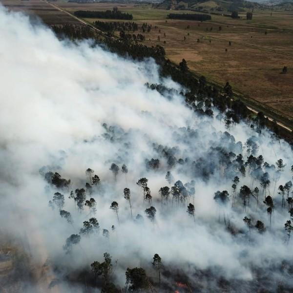 Incêndio de grandes proporções destrói plantação de eucaliptos em Capivari de Baixo
