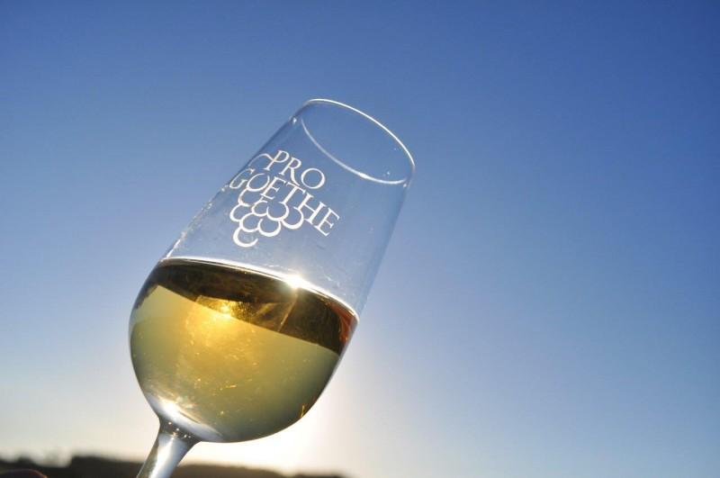Feira Internacional do Vinho: Goethe será evidenciado na Wine South America 2018