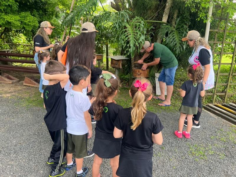 Educação Infantil do Colégio Satc valoriza experiências com a natureza 