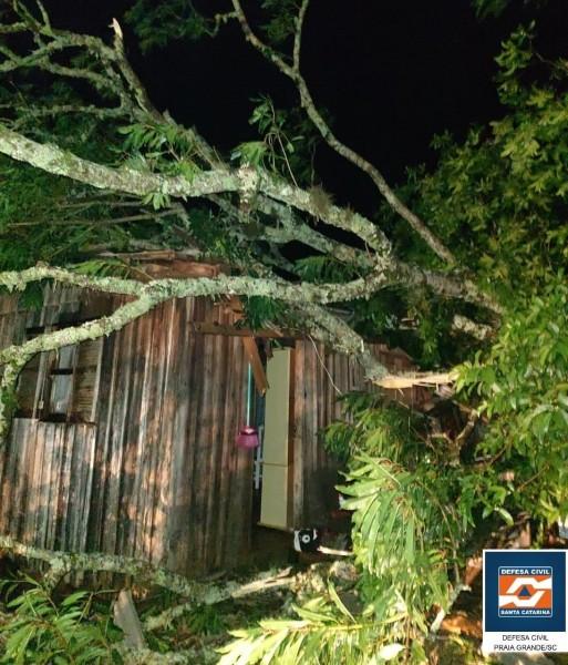 Tornado causa estragos e deixa desalojados em Praia Grande