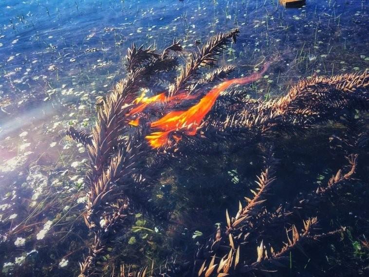 Fogueira é acesa em lago congelado no município de São Joaquim