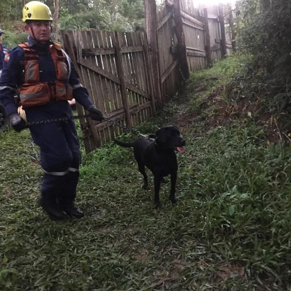  Menina segue desaparecida em Imaruí