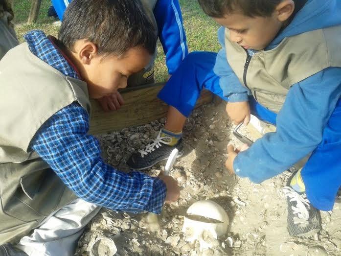 Aventura transforma crianças em arqueólogos por um dia
