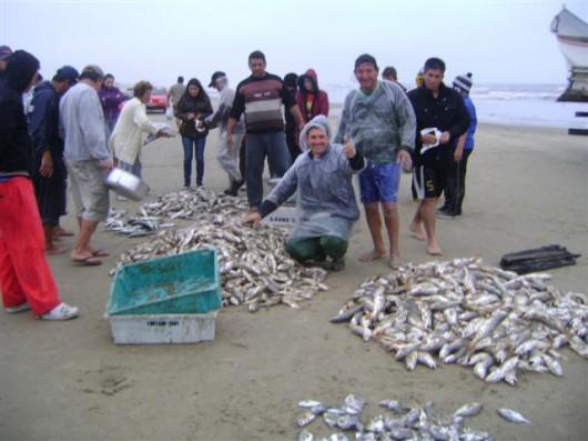 Pescadores, atenção ao prazo do seguro defeso