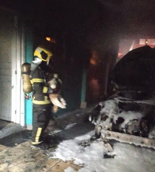 Cachorro é resgatado durante princípio de incêndio em Laguna