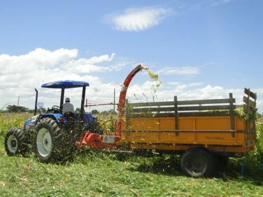 Programa de horas/máquinas incentiva agricultores içarenses