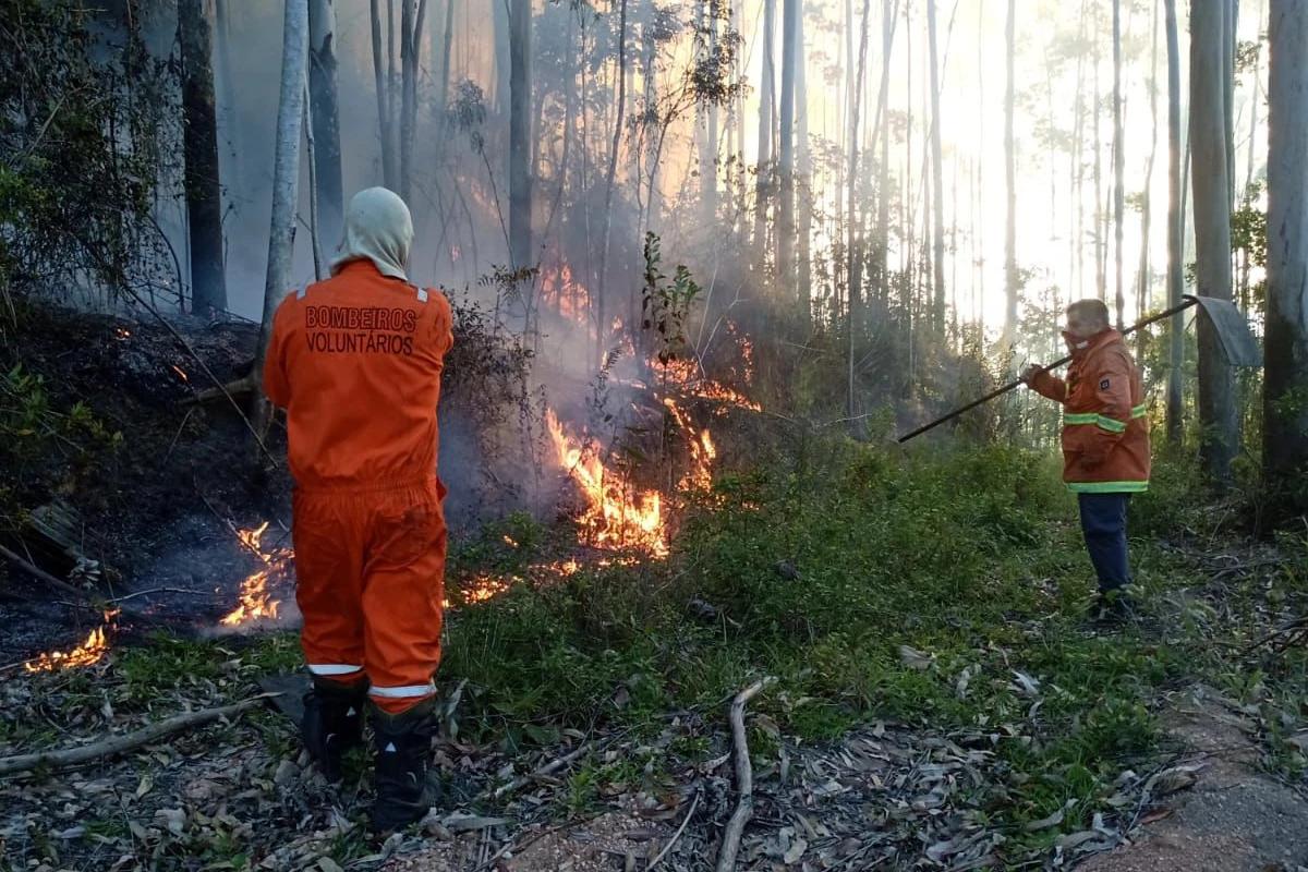 Vídeo: bombeiros trabalham seis horas para combater incêndio em vegetação