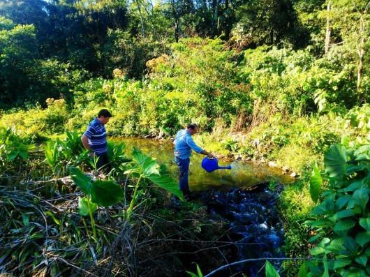 Larvicida para “borrachudo” é aplicado em Rio Capivaras Alto 