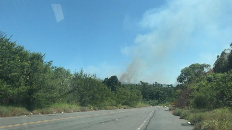 Incêndio controlado em área verde nos bairros Vila Zuleima e Maria Céu
