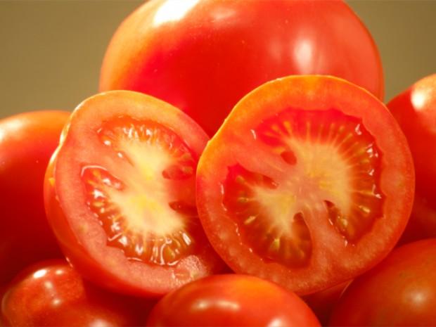 Tecnologias da Epagri garantem sustentabilidade na produção de tomate