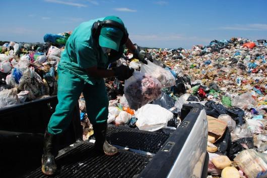 Vigilância Sanitária descarta 500 quilos de alimentos