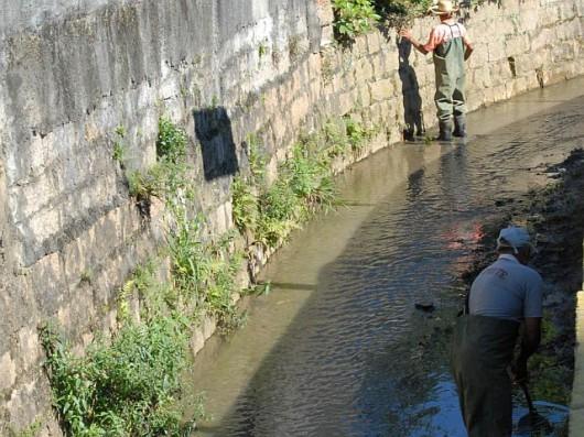 Limpeza do Rio Criciúma segue até o Pinheirinho